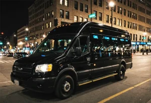 14 Passenger Limo Coach Party Bus in Minneapolis